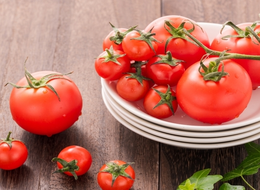 お皿の上に盛られたトマトとプチトマト