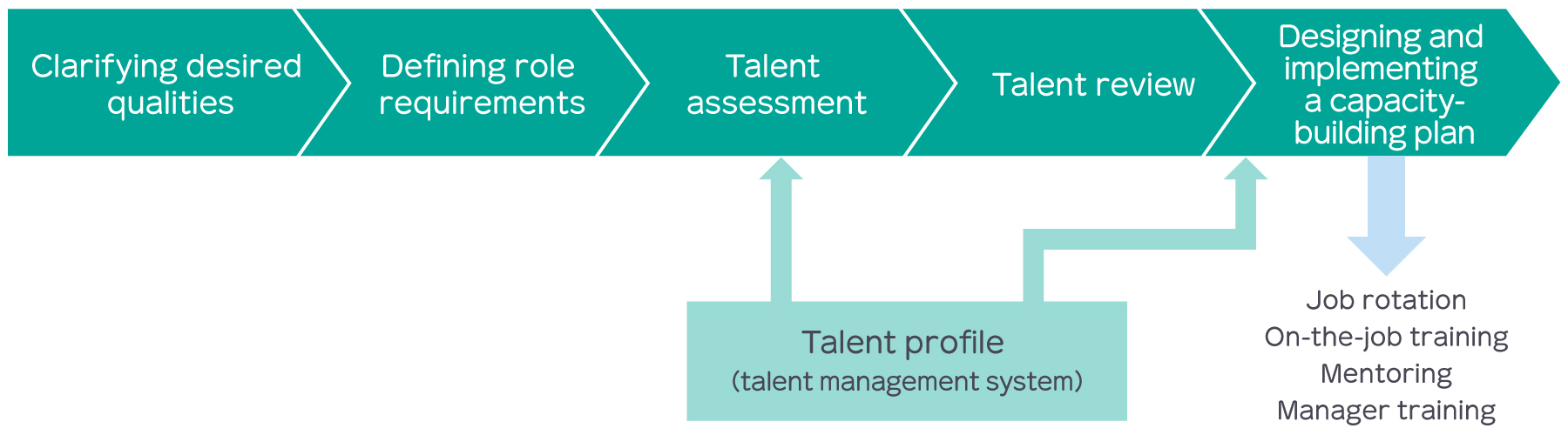 Nihon Chouzai's Talent Management Plan