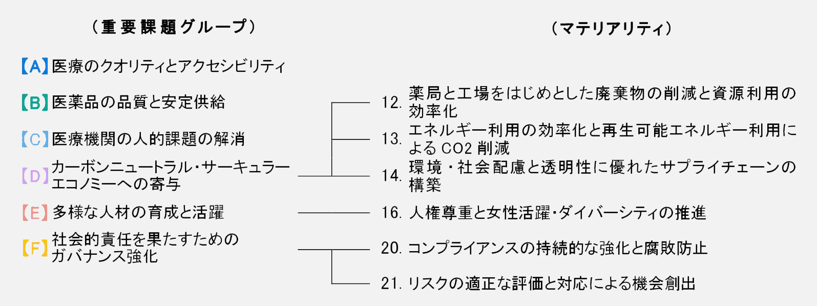 日本調剤グループの特定したマテリアリティ