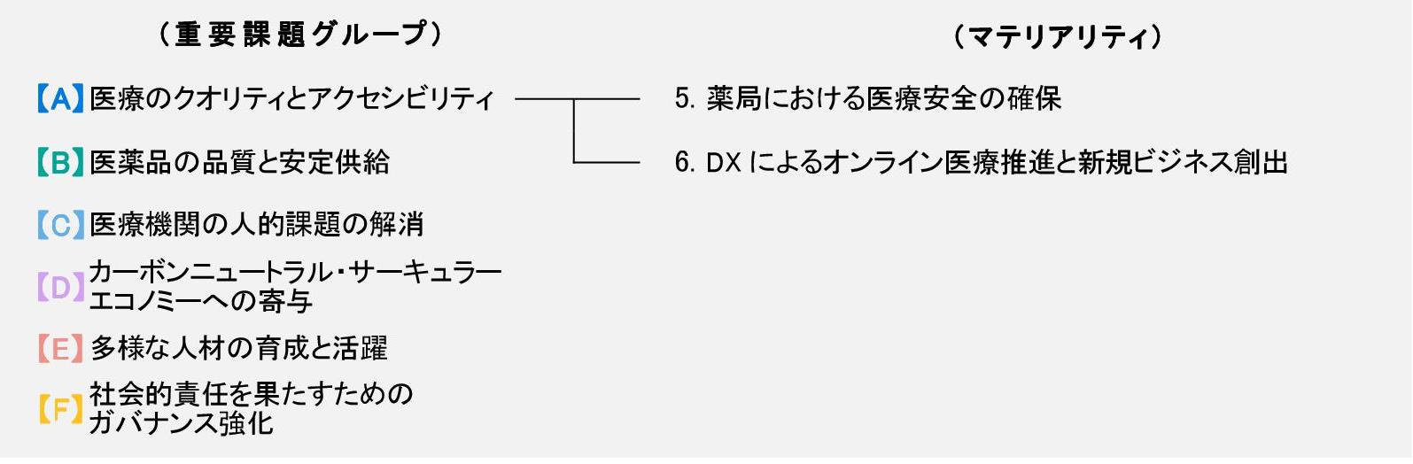 マテリアリティ（5.薬局における医療安全の確保、6.DXによるオンライン医療推進と新規ビジネス創出）