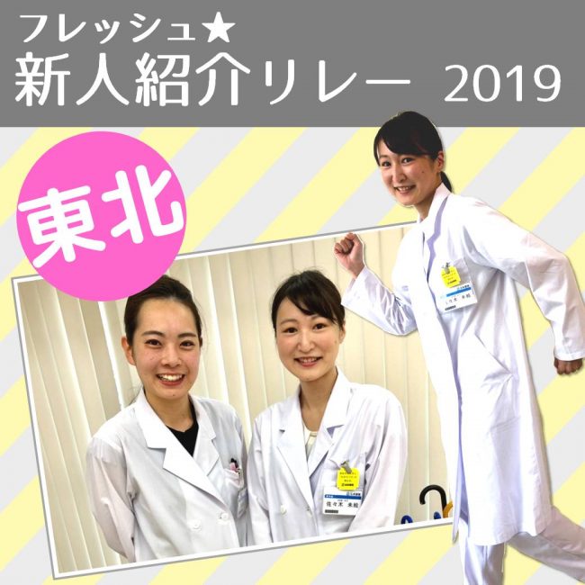 薬剤師 新卒採用 日本調剤